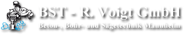 BST-R.Voigt-Logo